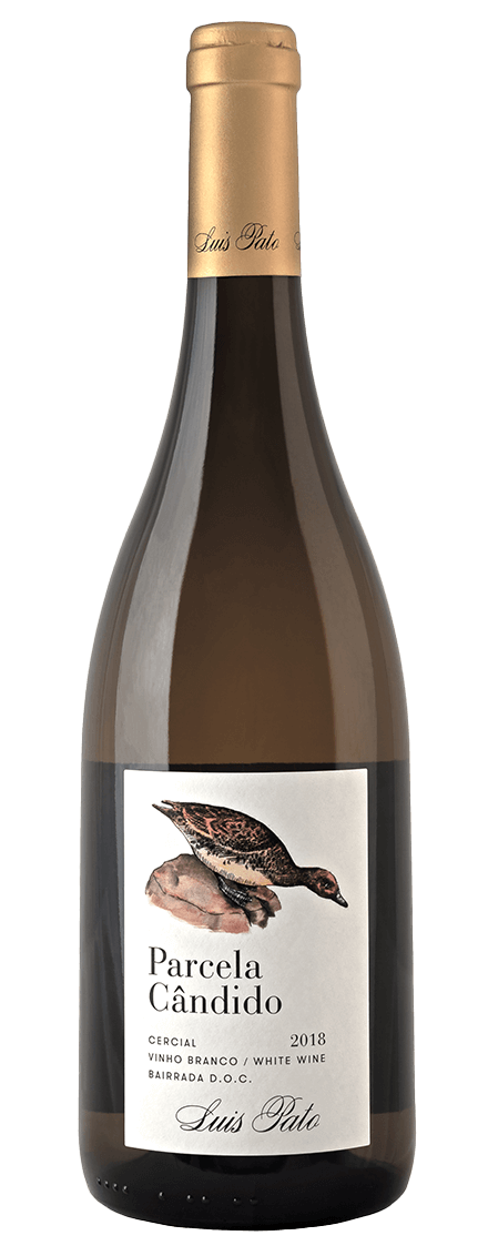 Parcela Cândido 2024 White — Luis Pato